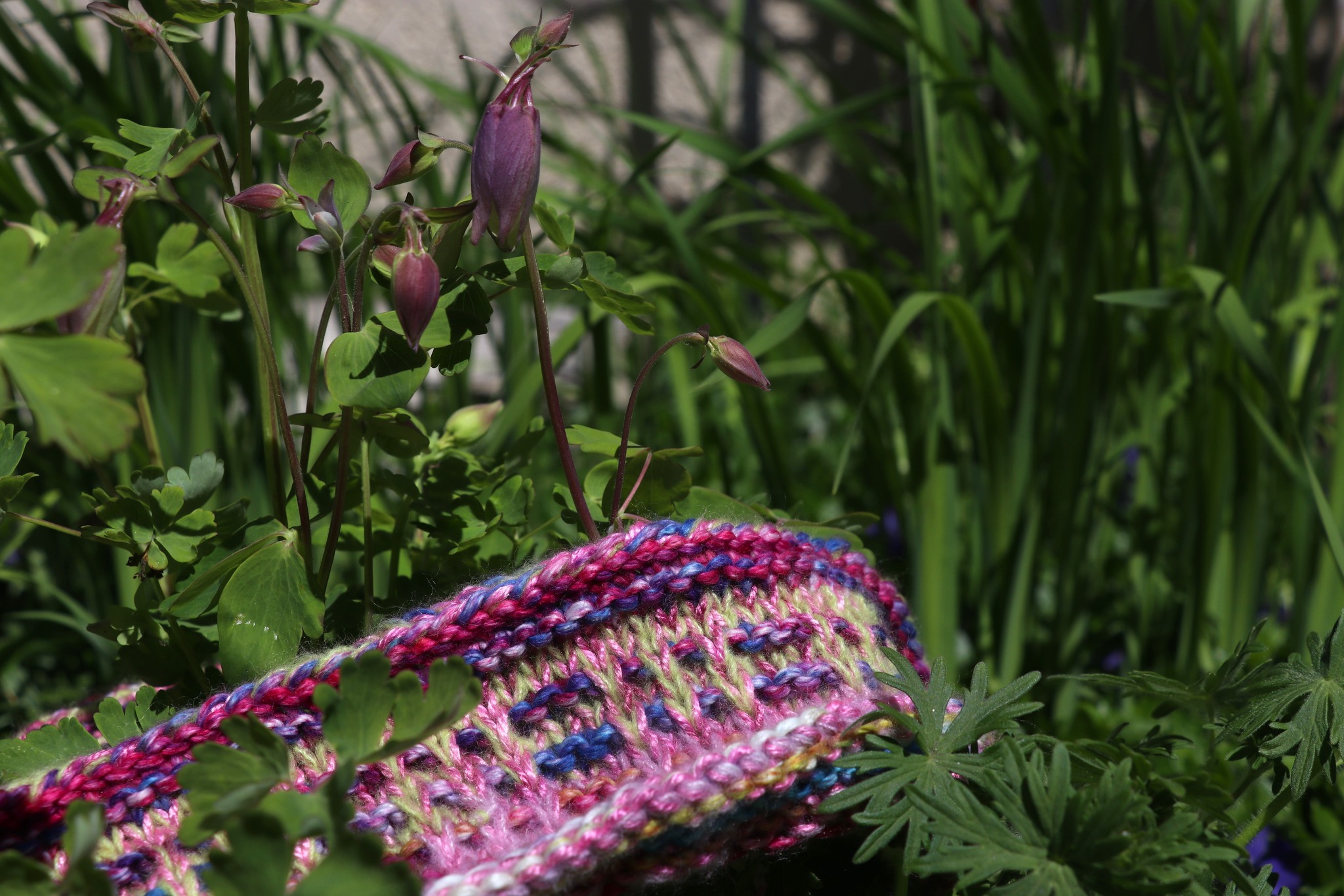 Lambspun boucle