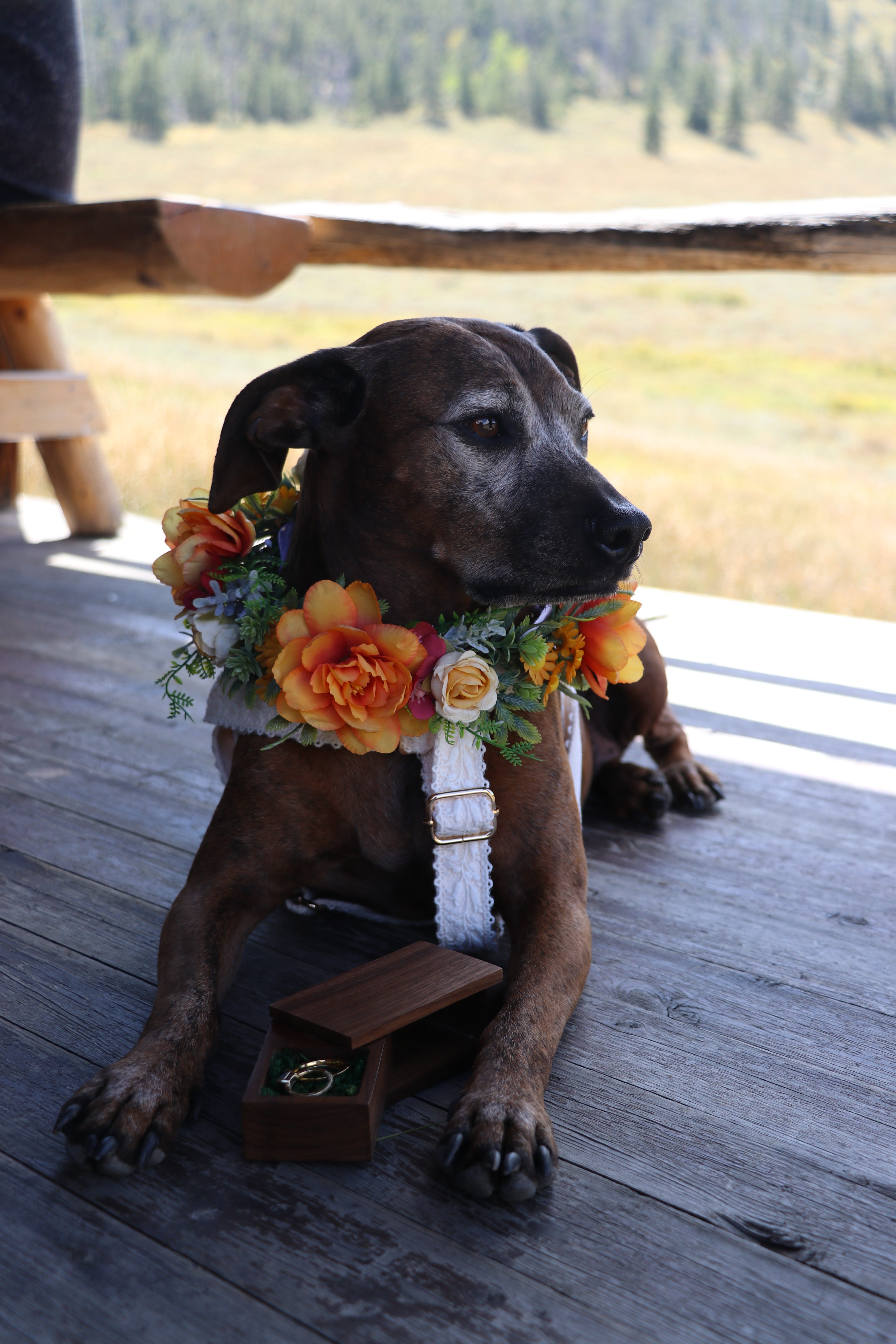 Wedding photo